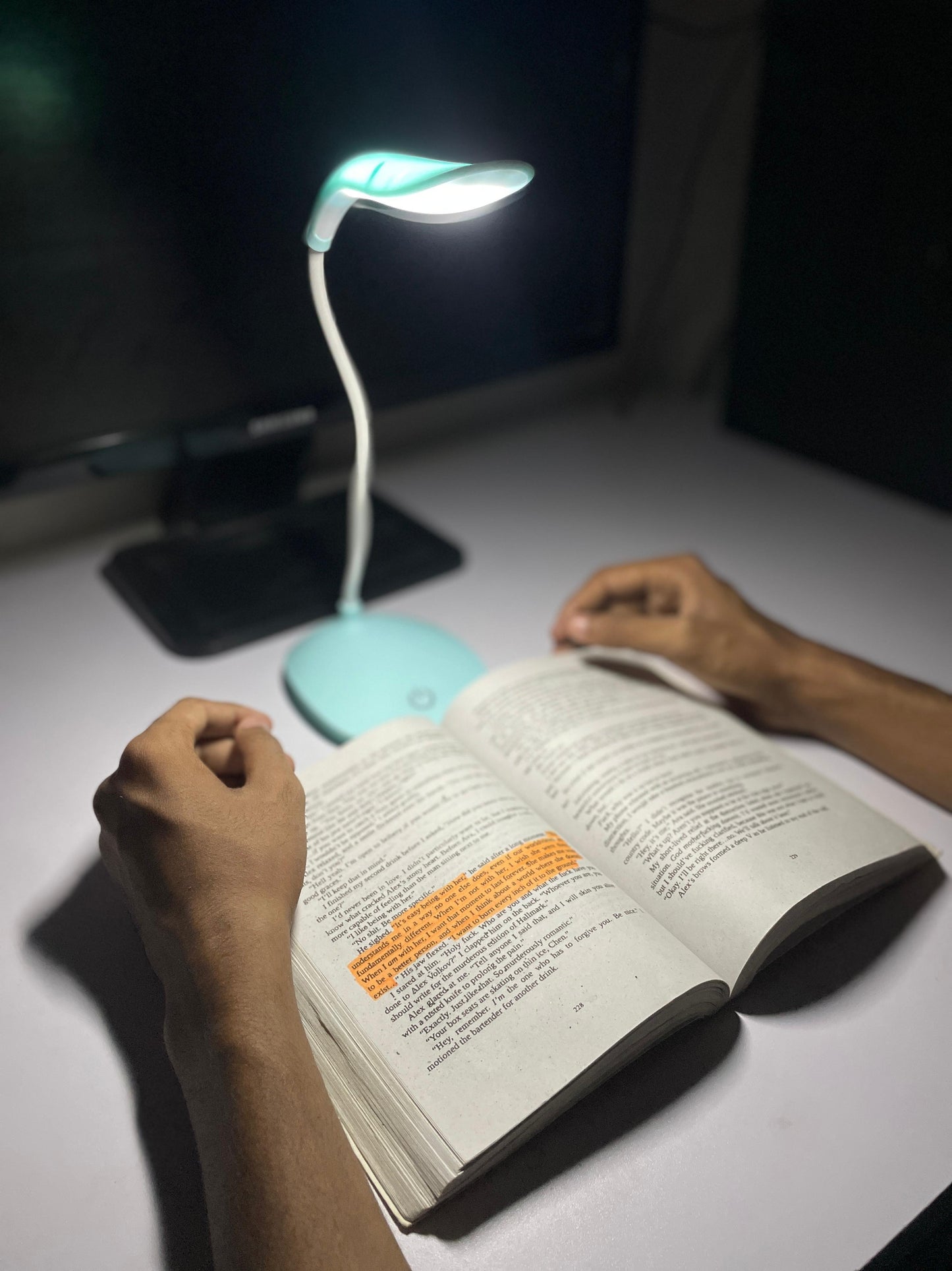 LED Desk Lamp