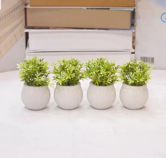 Mini Plant Artificial Decoration